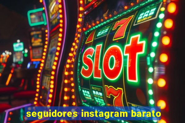 seguidores instagram barato