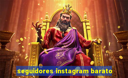 seguidores instagram barato