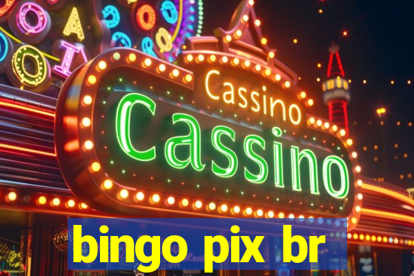 bingo pix br