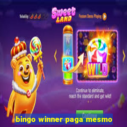 bingo winner paga mesmo